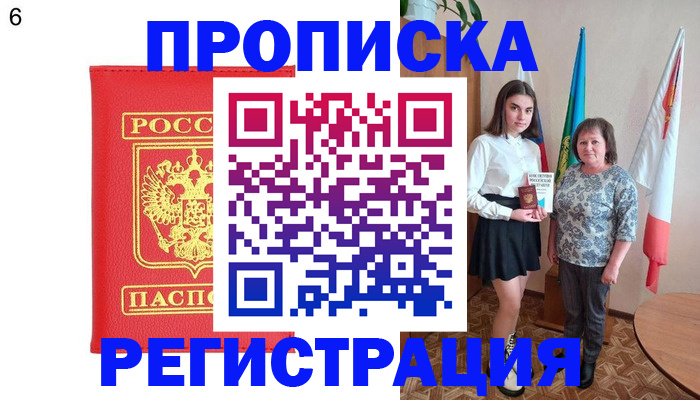 временная регистрация поиск в Луге